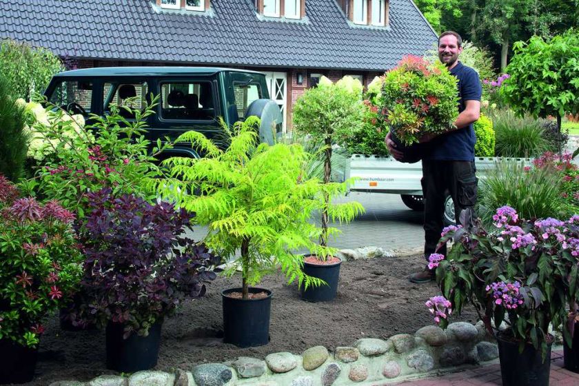 Ein grüner Rückzugsraum im stressigen Lebensalltag ist Balsam für die Seele.