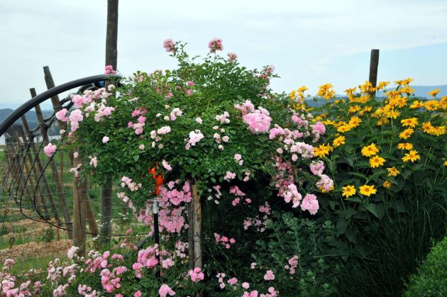 Privatgartenanlagen
