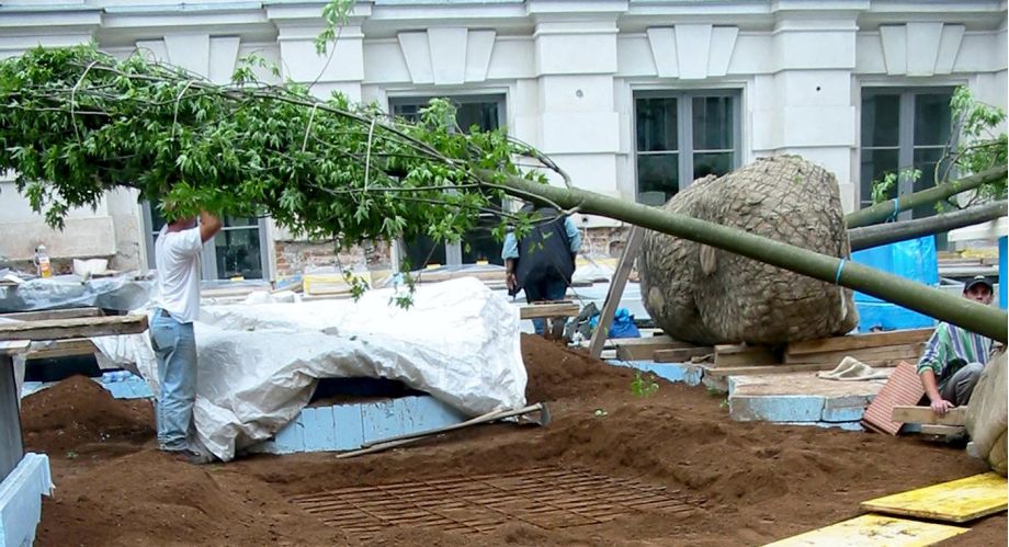 einpflanzungsservice