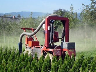 Spaziergang durch unsere Baumschulkulturen