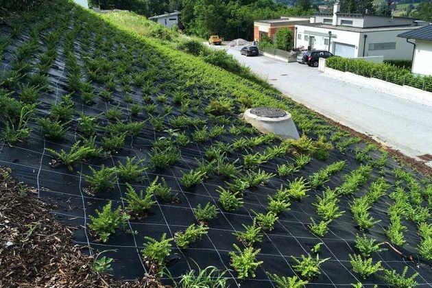Begrünung & Hangsicherung